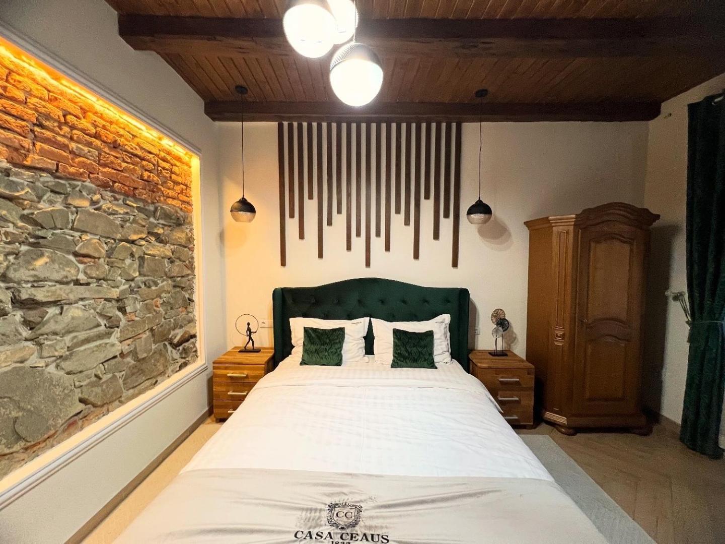 Casa Ceaus Villa Baia-Sprie Luaran gambar